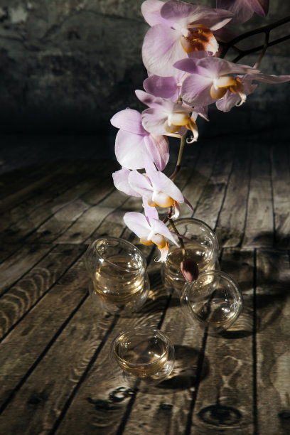 中国茶。图片下载