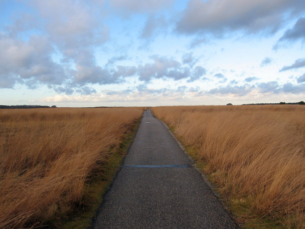 通过Veluwe路径图片下载