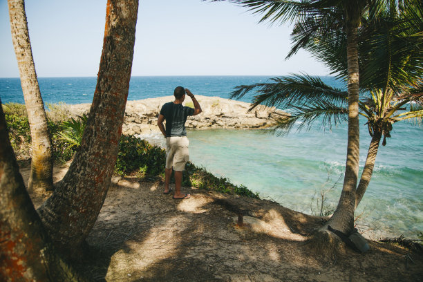 男人盯着海滩图片下载