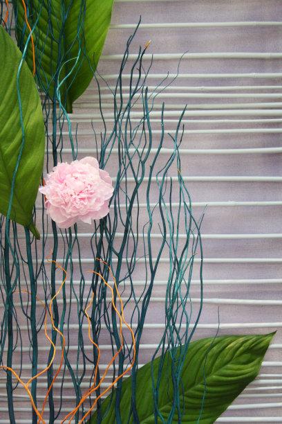 康乃馨插花图片下载