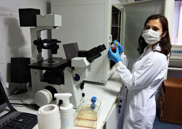 科学家在实验室工作图片下载