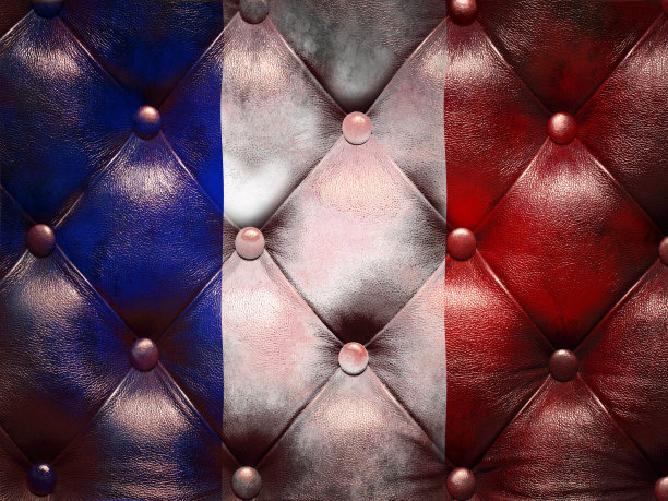 法国国旗上的capitone方格教练皮革图片下载