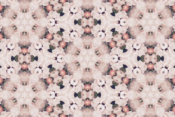 麦卢卡花曼荼罗图片下载