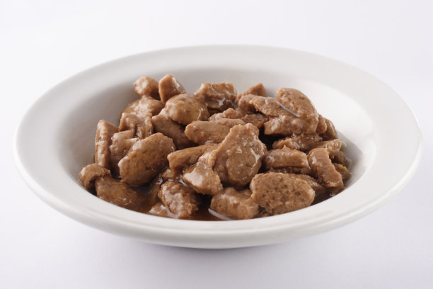 一碗宠物食品——猫肉素材图片