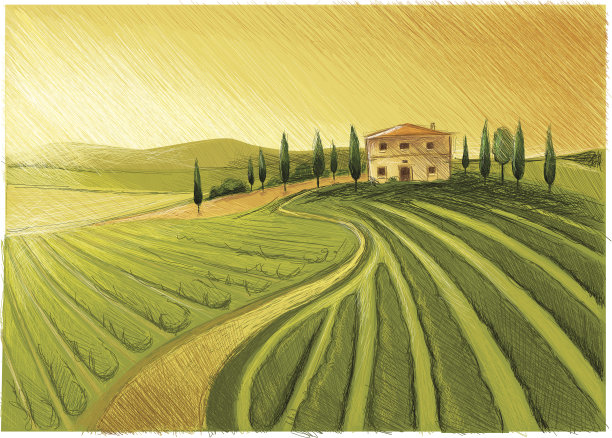 tuskany夏天图片下载