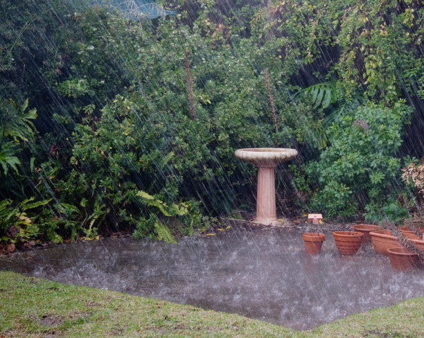 下雨了!图片下载