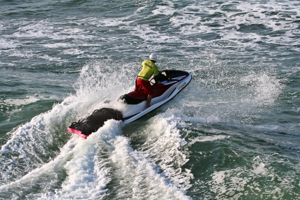 冲浪者救援图片下载