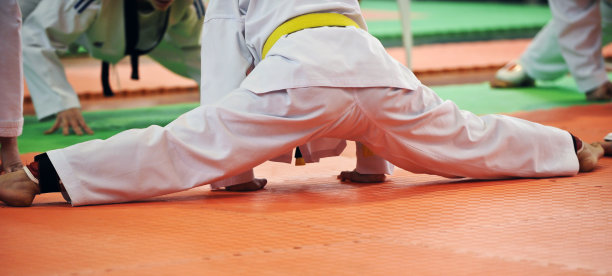 跆拳道图片下载