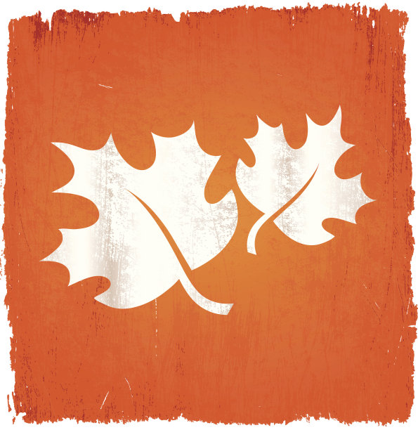 秋叶上免版税矢量背景图片下载