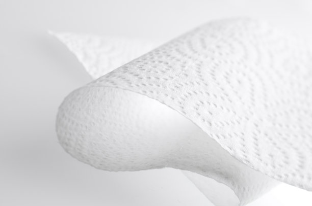 优雅的曲线厕纸图片下载