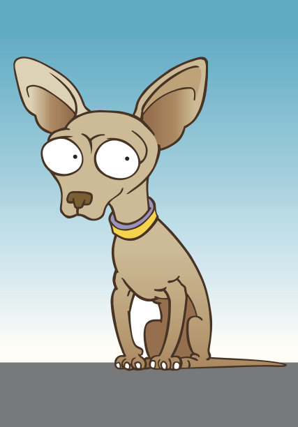 害羞的奇瓦瓦图片下载