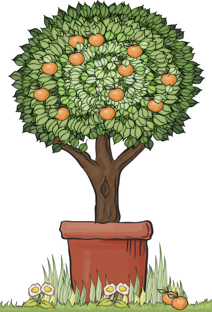 修剪成形的橘子树图片下载