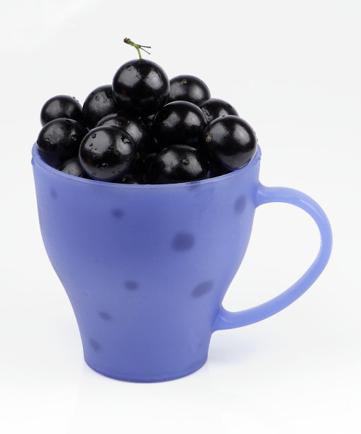 贾布蒂卡巴·迈尔西亚里亚·考利夫洛拉图片下载