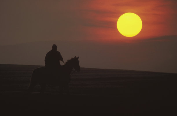 孤独的骑士图片下载