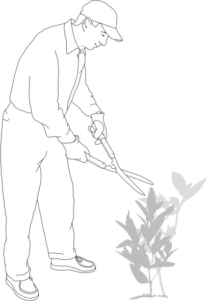 拿着剪树篱的人图片下载