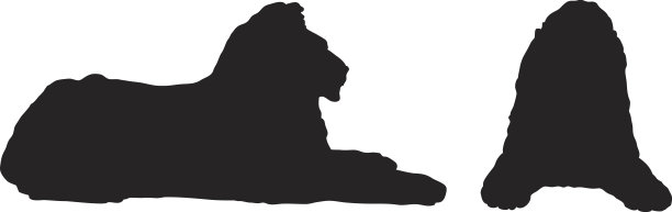 两头狮子图片下载