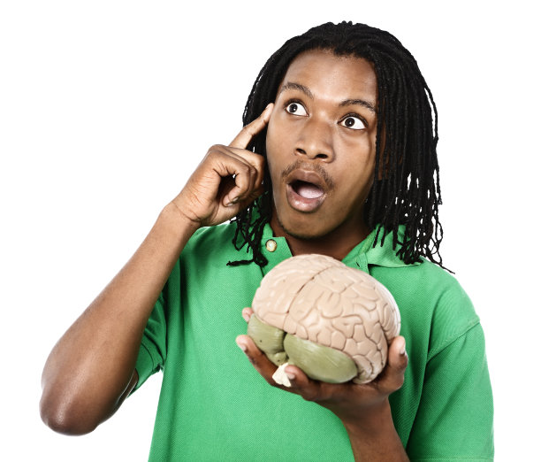 可爱的年轻人拿着模型大脑的想法!图片下载