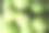 新收获的绿色椰子图片下载