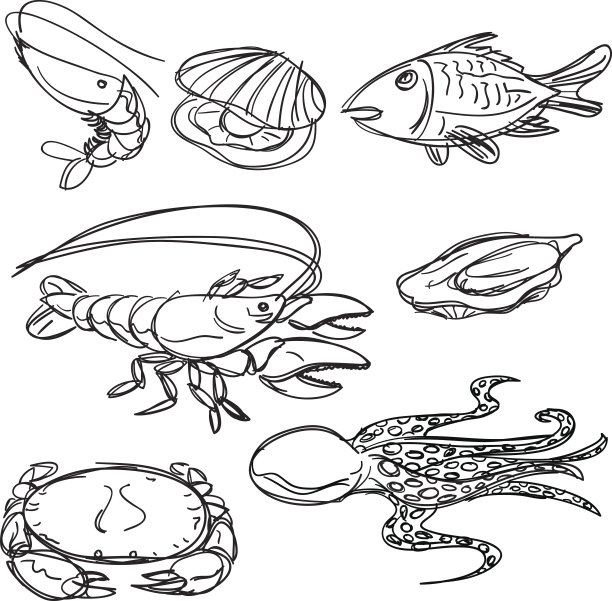海鲜收藏在黑色和白色图片下载