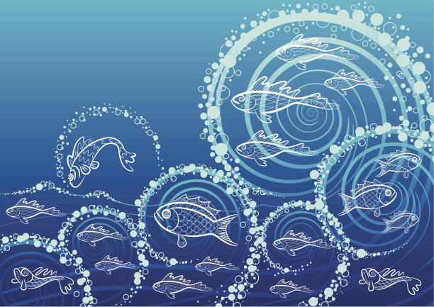 有趣的海洋图片下载