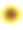 太阳花对白色图片下载