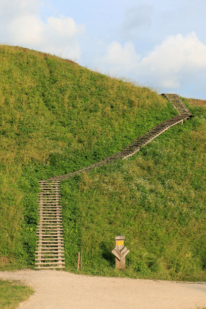 楼梯在草地上图片下载