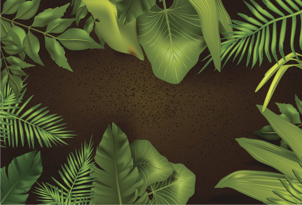 丛林框架图片下载