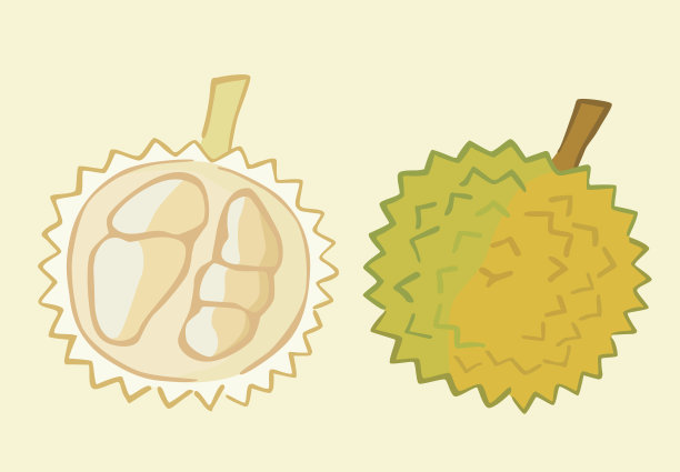 榴莲果图片下载