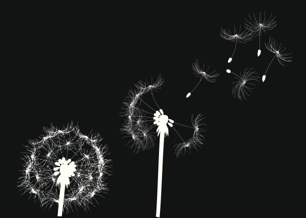 黑白矢量图片下载