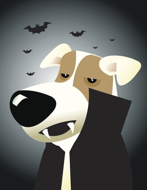 灰色背景下的狗肖像图片下载