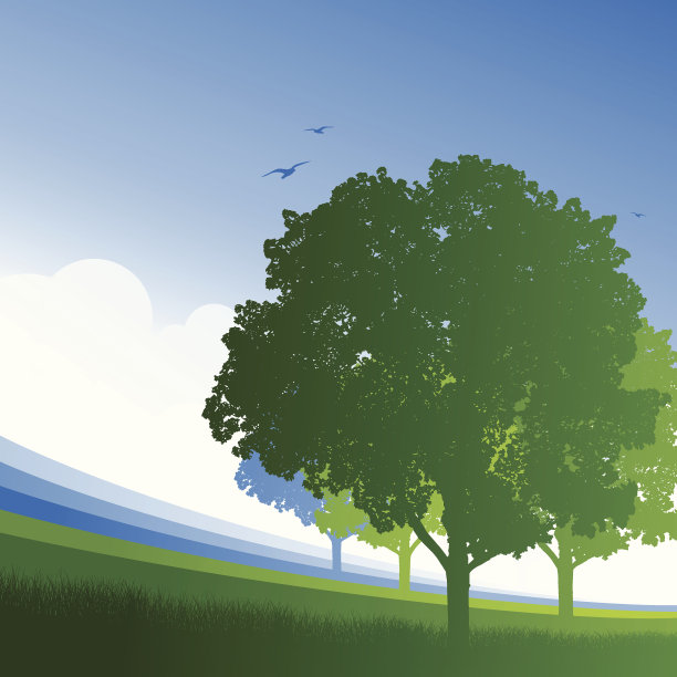 青树背景图片下载