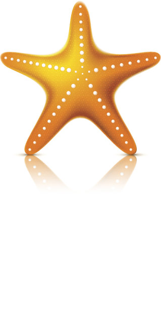 海星图片下载