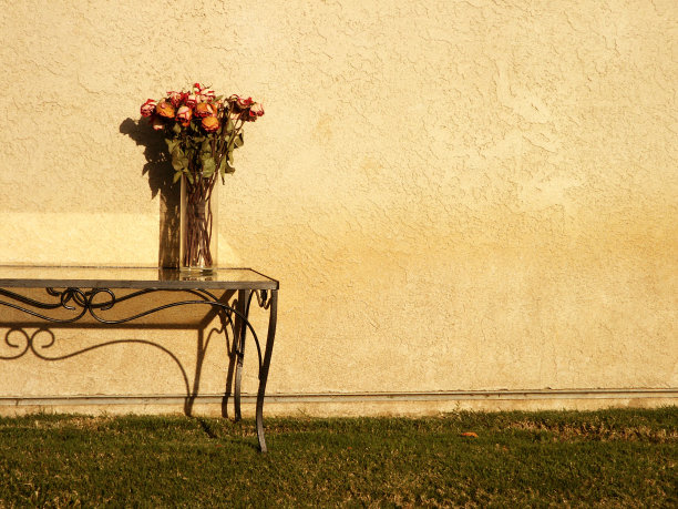 花束Effloresence # 1图片下载