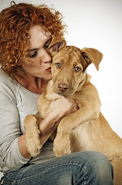 我爱我的小狗图片下载