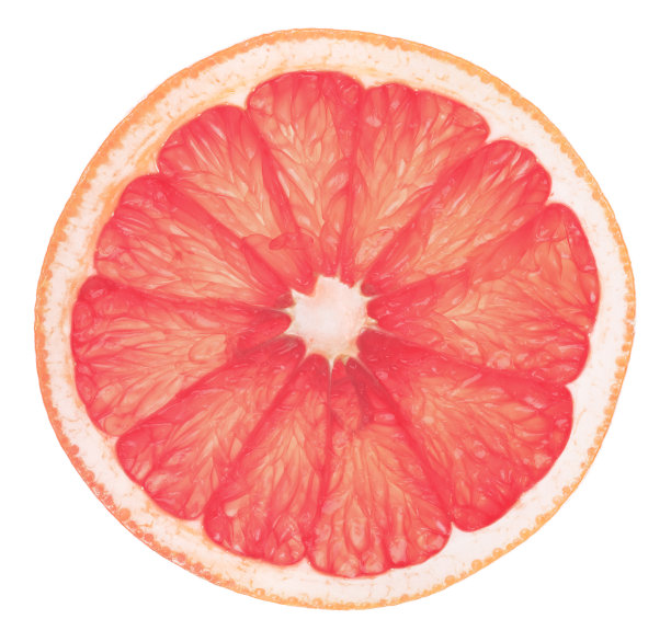 粉红葡萄柚切片高清晰度图片下载