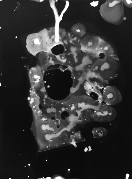 让生命存在图片下载