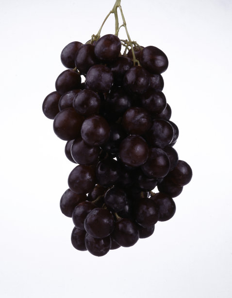 葡萄图片下载