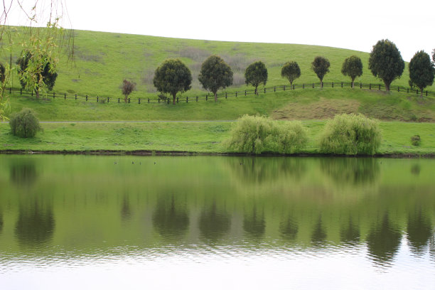 加州北部的春天图片下载