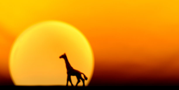 塑料旅行图片下载