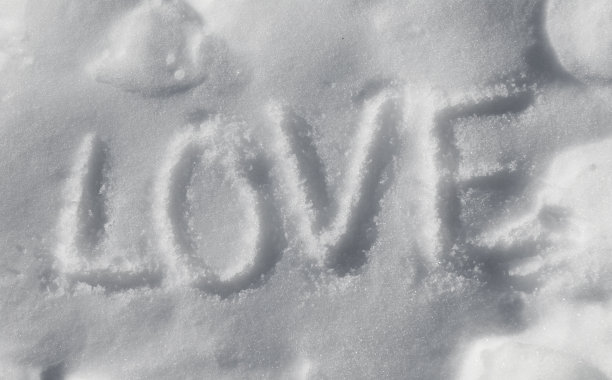 雪中的爱图片下载