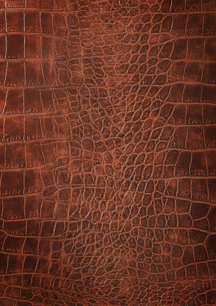 鳄鱼皮革的皮肤图片下载
