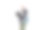 商人在滑冰与clipping路径图片下载