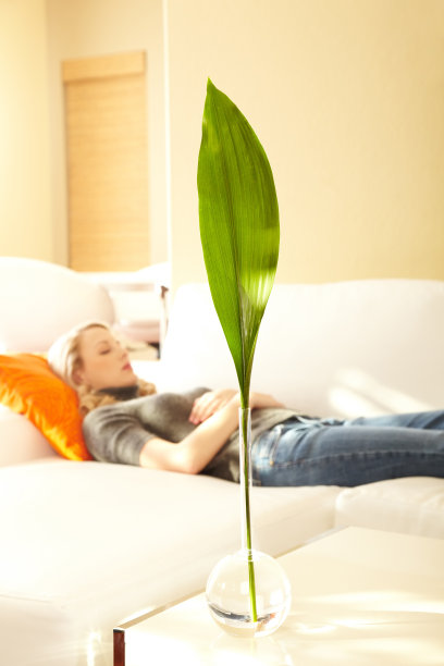 前景是一片绿叶，一个女人在打盹图片下载