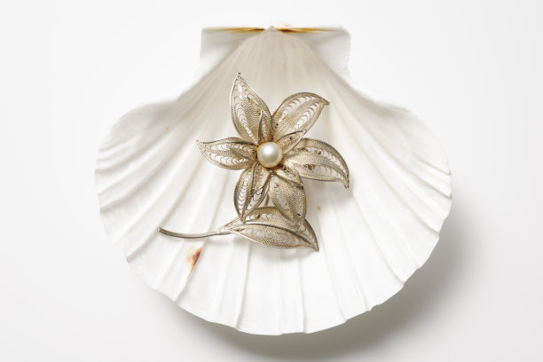 孤立的拍摄海贝与珍珠胸针在白色的背景图片下载