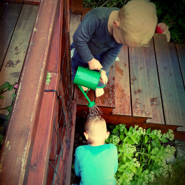 男孩把水倒在他弟弟身上图片下载