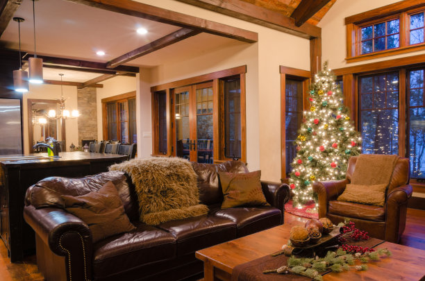 为圣诞节装饰的豪华小屋图片下载