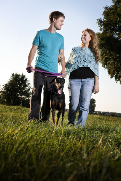 年轻夫妇和狗图片下载