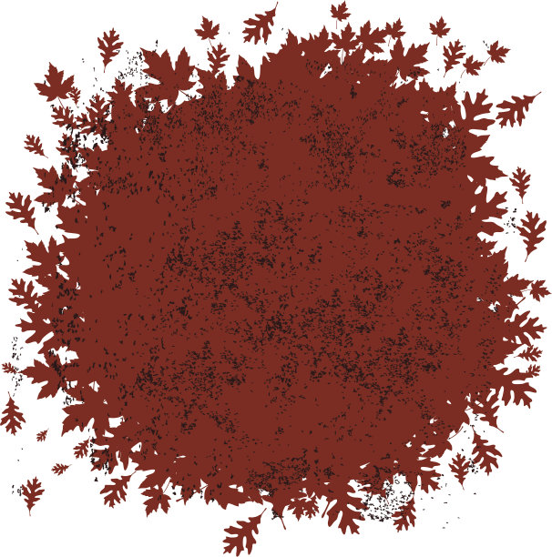 爆炸的落叶背景图片下载