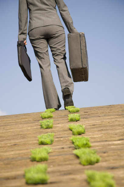 5桥上的草地脚印图片下载