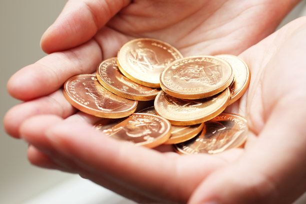 一把金币图片下载